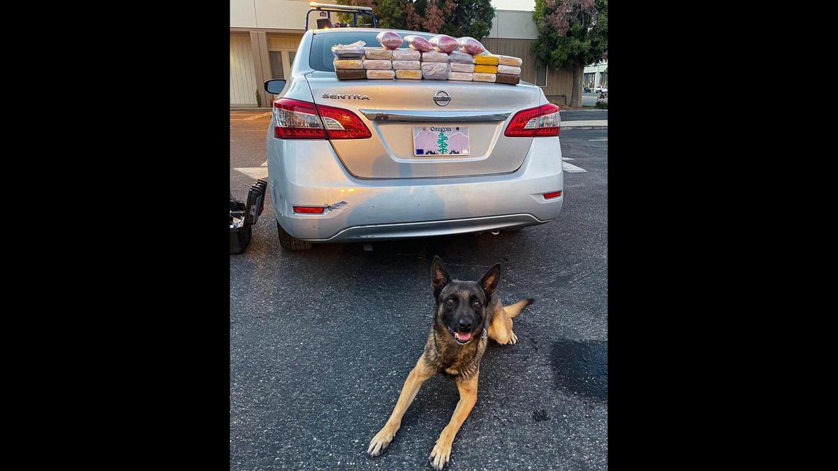 A driver and passenger were arrested during a Fresno Count traffic stop on Nov. 12, after a California Highway Patrol officer and CHP K-9 Bruce, located about 40 pounds of suspected cocaine and about 15 pounds of suspected heroin in a secret compartment inside the vehicle, according to authorities. Image courtesy of California Highway Patrol.