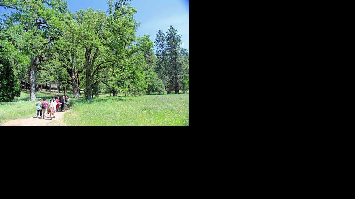  Students from Golden Valley High School visit the Conservancy easement at Clark’s Valley, near Jerseydale in Mariposa County. Clark’s Valley is a special place with a healthy forest, a beautiful meadow, ancient black oaks and part of the watercourse of Snow Creek.
