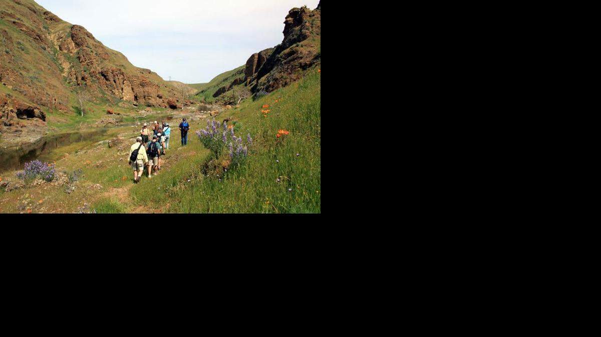 Hikers make their way through Los Banos Creek.
