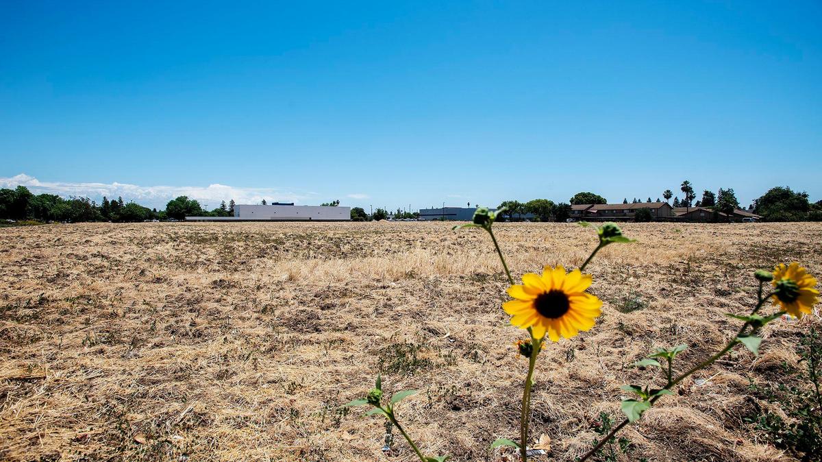 A nearly 7-acre section of land at the corer of Loughborough Drive and Meadows Avenue in Merced, Calif., on Thursday, June 23, 2022.