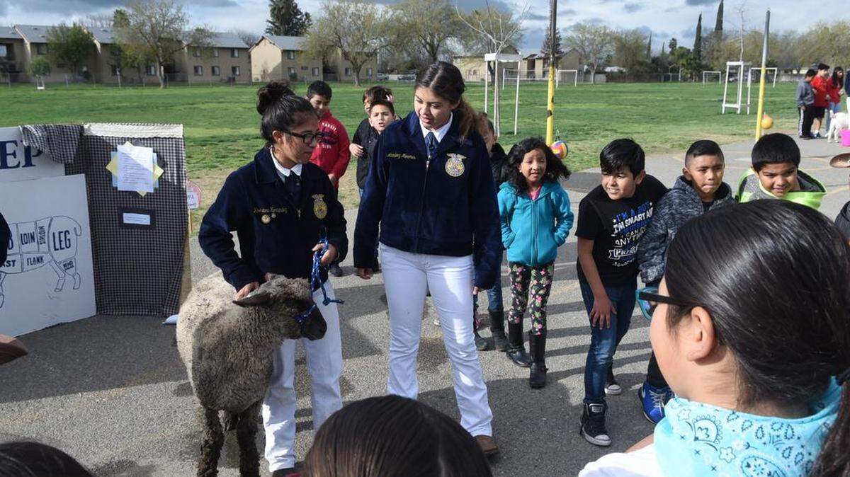 Elementary school kids in Los Banos learned from various presenters on Friday March 16, 2018 about where their food comes from and why it’s important to take care of animals during the fourth annual Ag Day at Miano Elementary School.