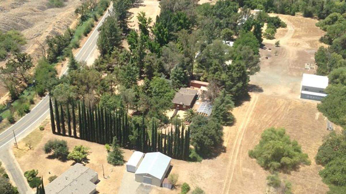 The Merced County Sheriff's Office used its aviation unit to spot a "large" illegal marijuana cultivation site in the 4200 block of Merced Falls Road during the weekend, June 30, 2018, according to a news release.