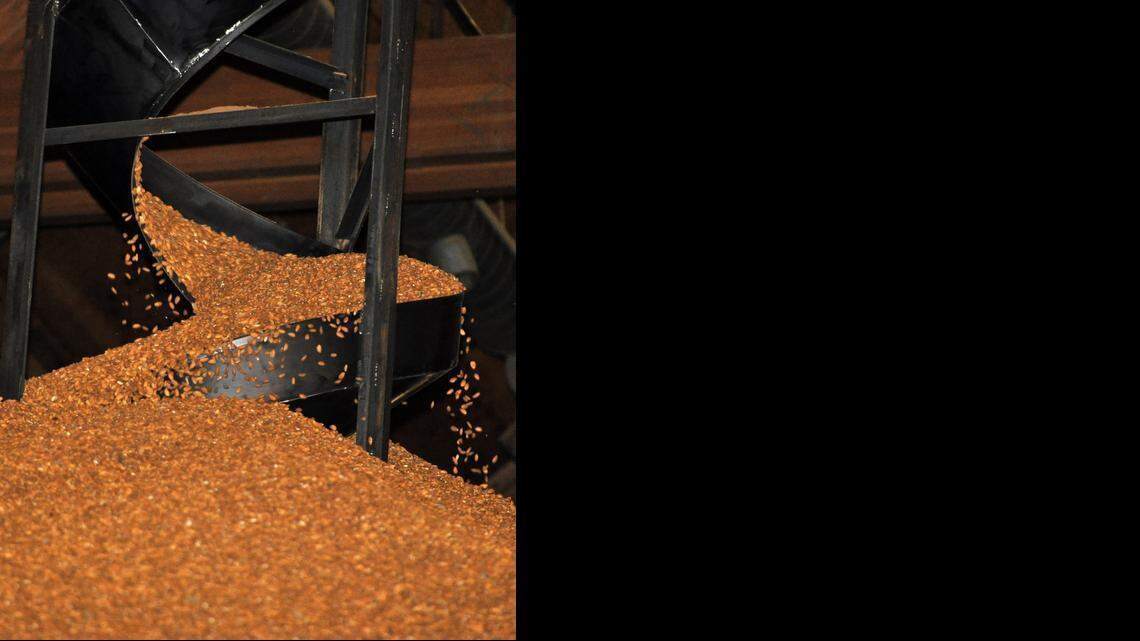 Farm Beat: Ag co-ops thrive in Valley and beyond