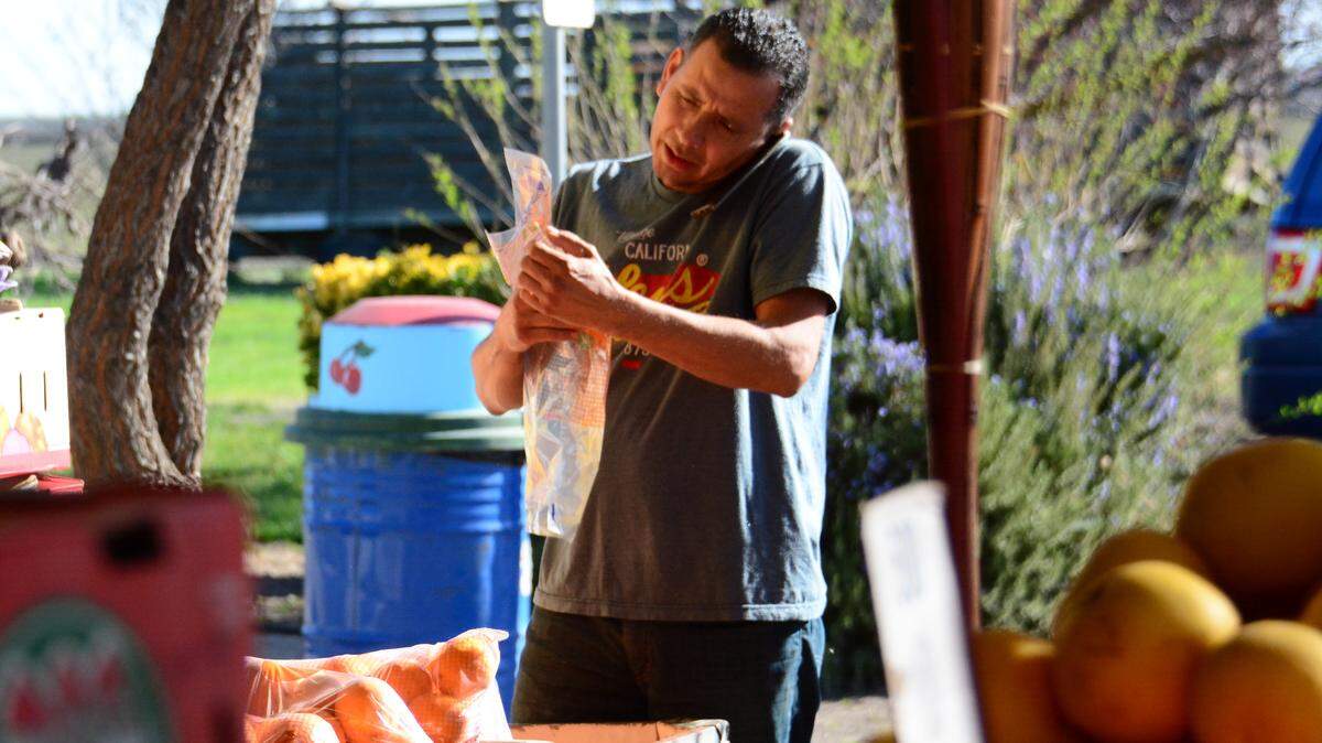 Daniel Torres, owner of Mercey Springs Produce on Highway 152 in Dos Palos, packages oranges on Thursday Feb. 15, 2017. Major funding cuts to the Supplemental Food Nutrition Program, known as CalFresh in California, in the Trumps administrations proposed budget for next year could negatively impact food assistance organizations in Merced County and people's access to fresh fruits and vegetables.