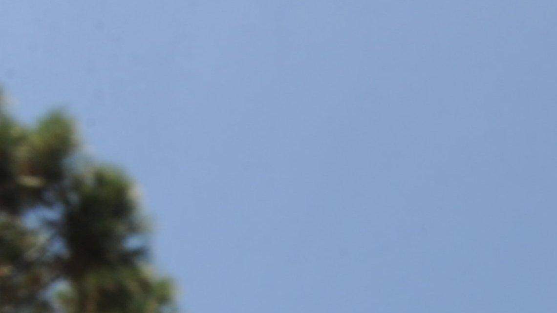 Debbie Croft: Mariposa has its own bat man