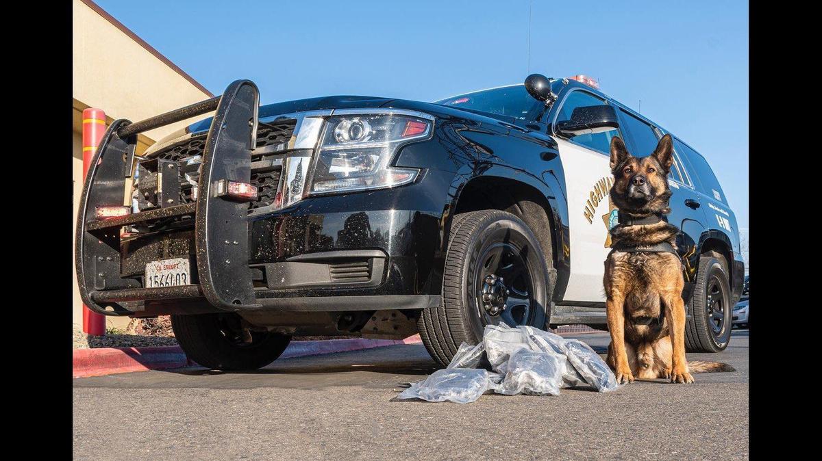 The driver of a 2015 Hyundai Sonata was arrested during a traffic stop along northbound Interstate 5 in Merced County on Feb. 11, after a California Highway Patrol Officer and CHP K-9 Beny, located about 15 pounds of counterfeit Oxycodone pills believed to contain Fentanyl, according to the CHP. Authorities said the street value of the pills was determined to be more than $1,000,000. Image courtesy of California Highway Patrol.