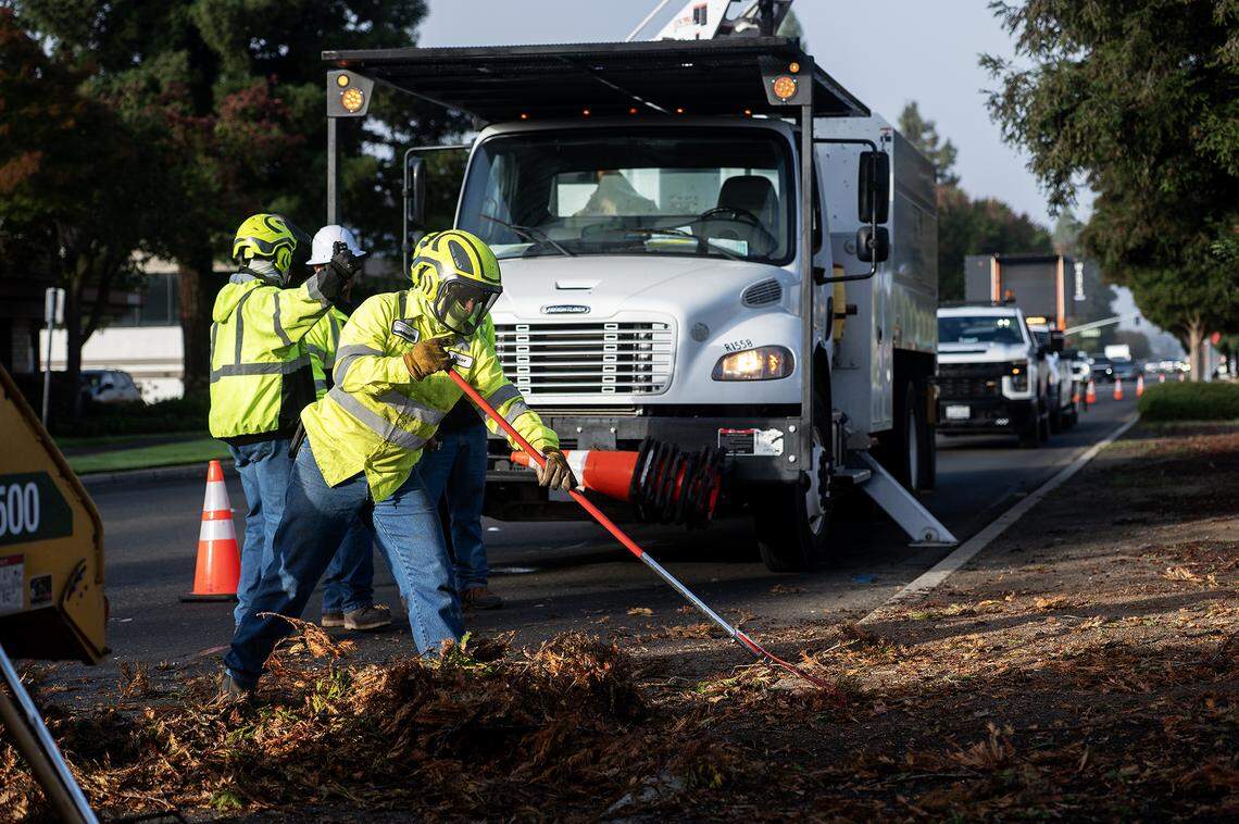 City of Merced Public Works employees and part of the trees division clean up debris as crews work to remove selected trees from the median along West Olive Avenue in Merced, Calif., on Thursday, Nov. 6, 2025. 