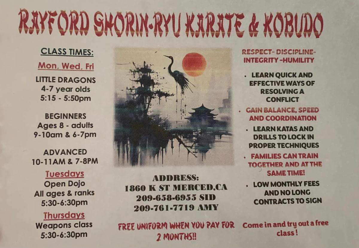 Rayford Shorin-ryu Karate & Kobudo dojo flyer.