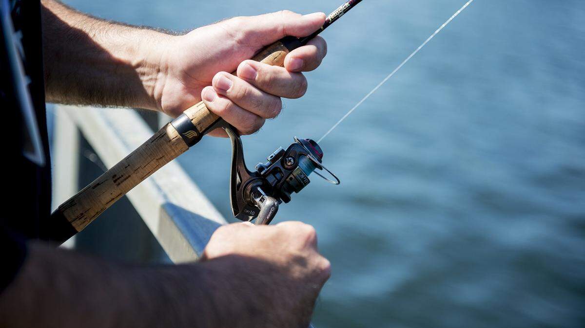 Limits from the shoreline have been the rule days after a 6,500 pound trout plant at McSwain Reservoir.
