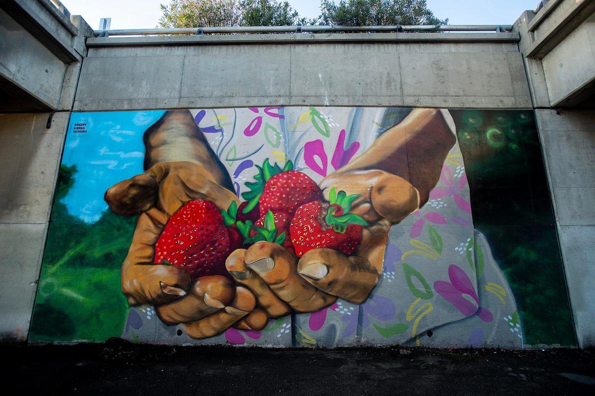 A mural on the wall of the Highway 99 Martin Luther King Jr. Way overpass in Merced, Calif, on Thursday, Dec. 12, 2024.