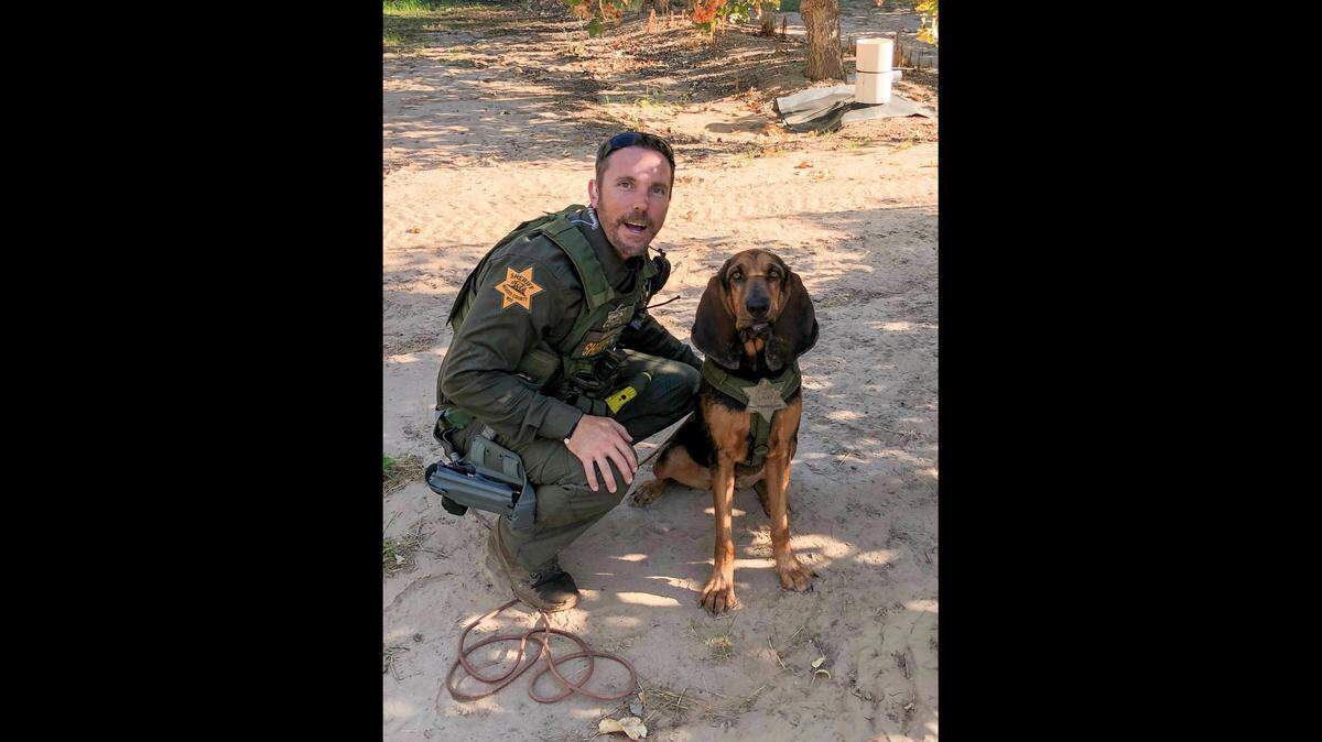 Merced County Sheriff’s Office K9 Banshee poses with her handler, Deputy Dustin Witt, after Banshee successfully tracked the scent of the driver of a stolen vehicle involved in a hit-and-run collision on Highway 140, west of Merced, on Friday, Sept. 13, 2019.