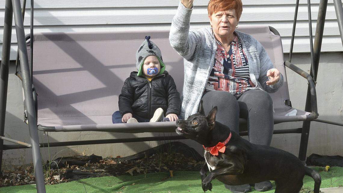 Old Trainer: Keeping your dog engaged with fun during training sessions