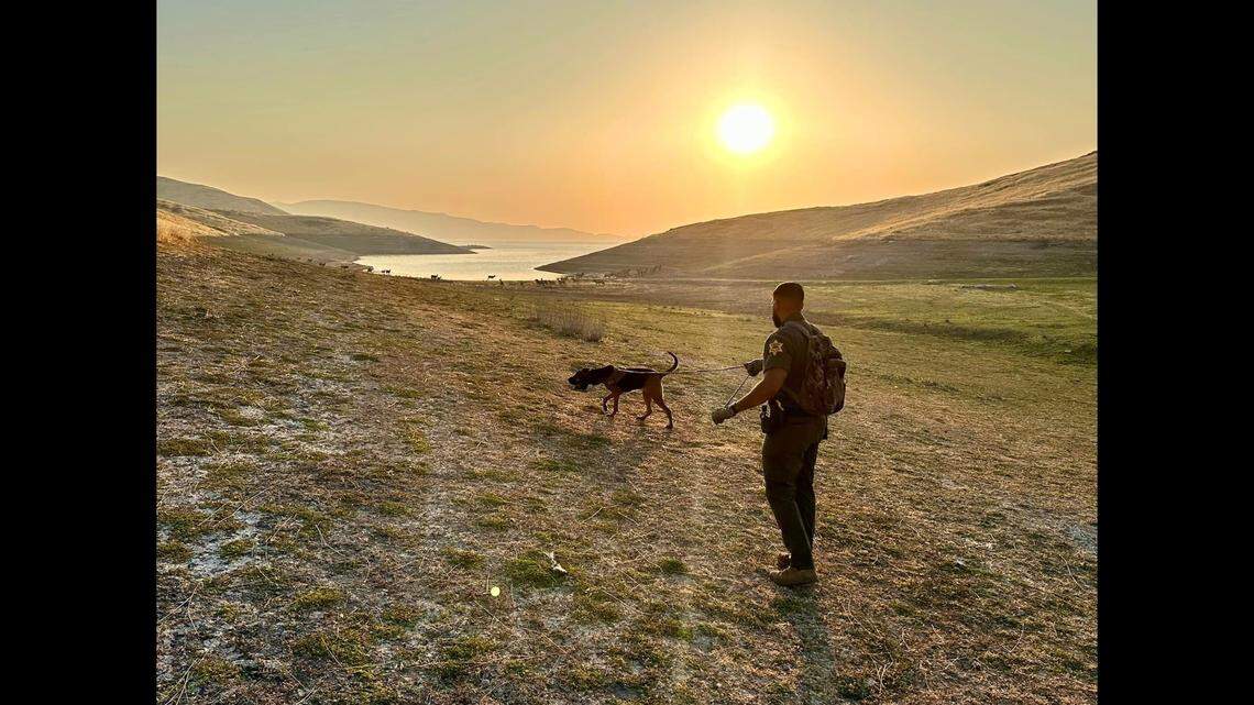 Merced County Sheriff’s Office search and rescue teams are trying to locate Chang Cheng, 57, of Fresno. Cheng went missing while on a fishing trip at the San Luis Reservoir State Recreation Area, near Highway 152 and Vista Point in Merced County on Thursday, Sept. 21, 2023.