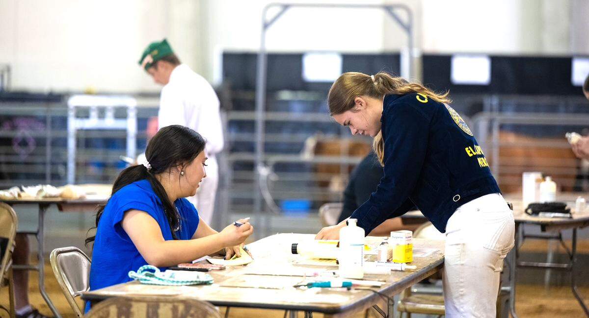 El Capitan High student Mady Dietz was recently named the 2024 Supreme Champion Challenge Exhibitor, Champion Large Animal Exhibitor and Champion Sheep Exhibitor at the California State Fair in Sacramento.