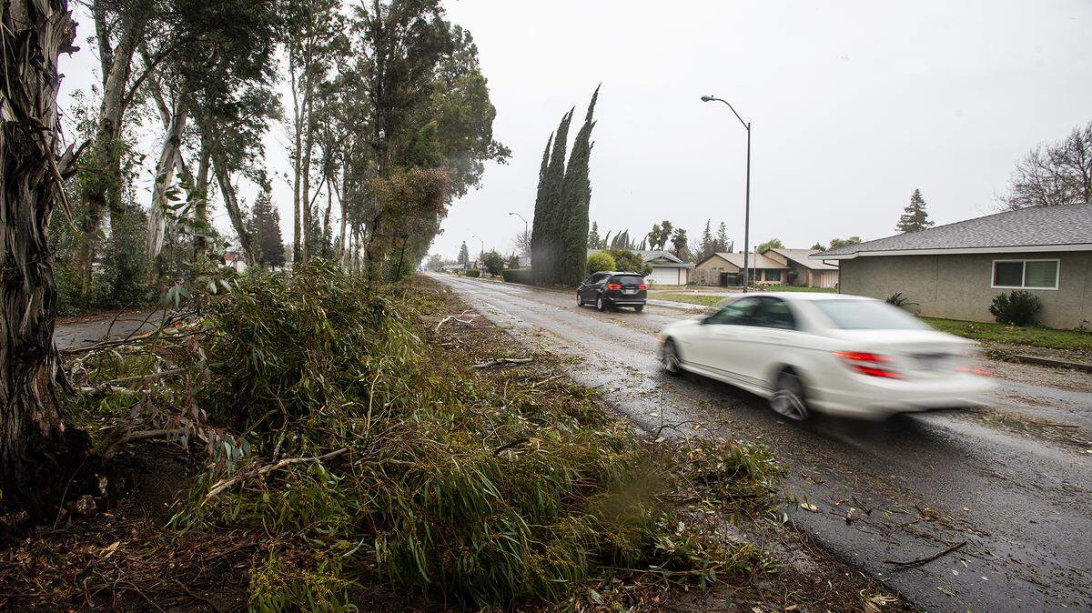 Motorists drive along M Street past downed tree limbs and debris, as rain showers move through Merced, Calif., on Wednesday, Jan. 27, 2021.