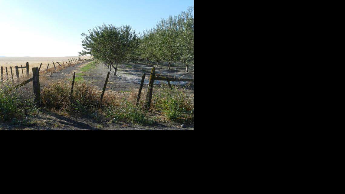 Modesto Irrigation shouldn’t make sweetheart deals with our precious water | Opinion