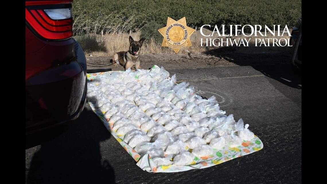 K-9 sniffs out meth during a Merced County traffic stop. Here’s how much was found