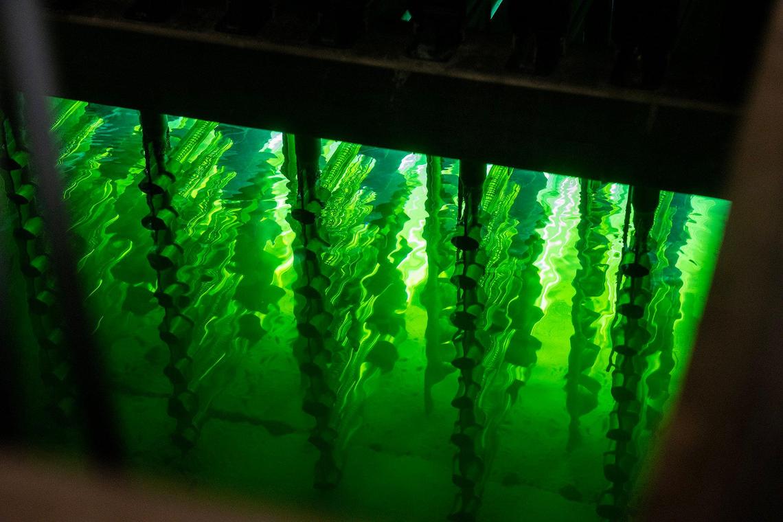 Wastewater flows through channels containing ultra violent lights inside the UV Disinfection Facility at the Wastewater Treatment Plant in Merced, Calif., on Thursday, Nov. 21, 2024.