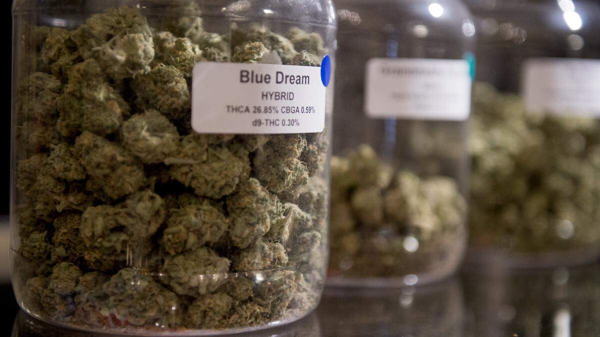 A hybrid marijuana buds for sale at A Therapeutic Alternative in Sacramento, Calif. on Thursday December 21, 2017.
