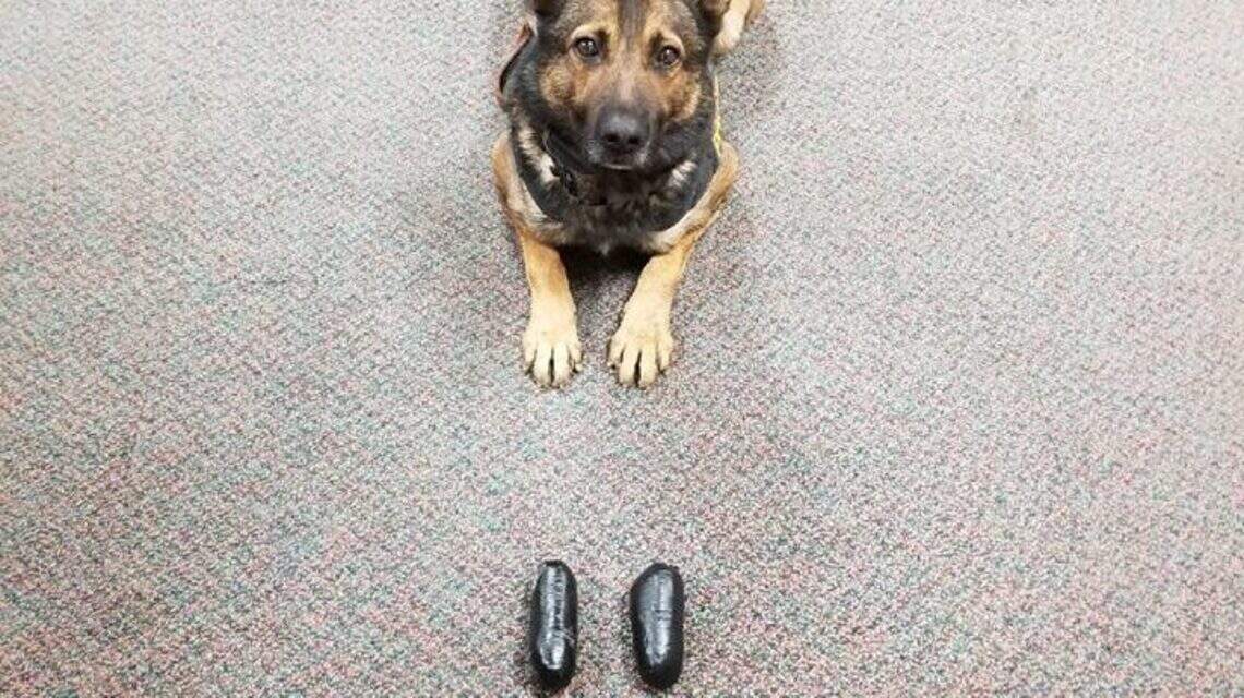 Merced County K-9 follows his nose to bust a driver with heroin, CHP says