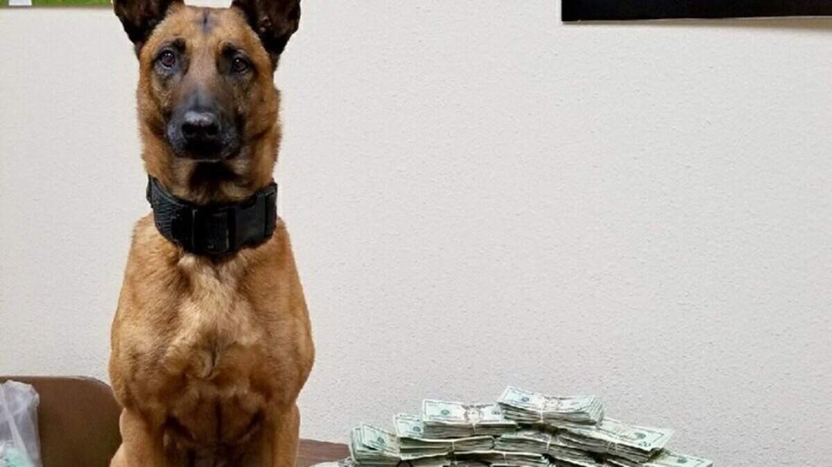 Two people were arrested in Merced County after K-9 Laika sniffed out a cars hidden compartment, according to California Highway Patrol.