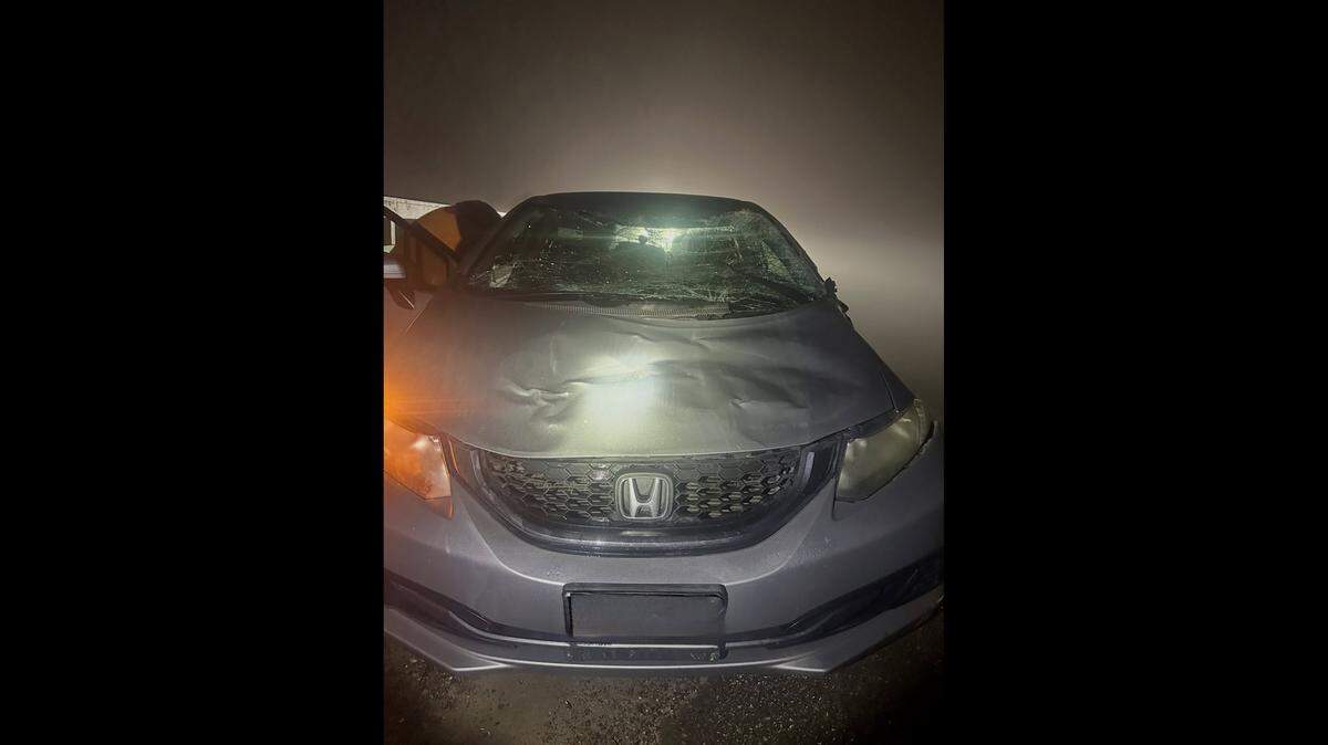 A driver crashed into a horse in Merced County while driving in dense fog early Friday morning