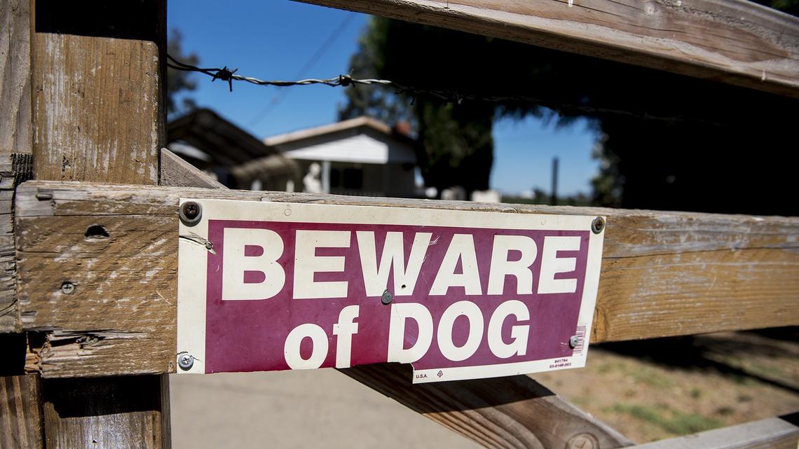 Idaho insurance companies paid how much on dog bite injuries in 2023? It’s in the millions