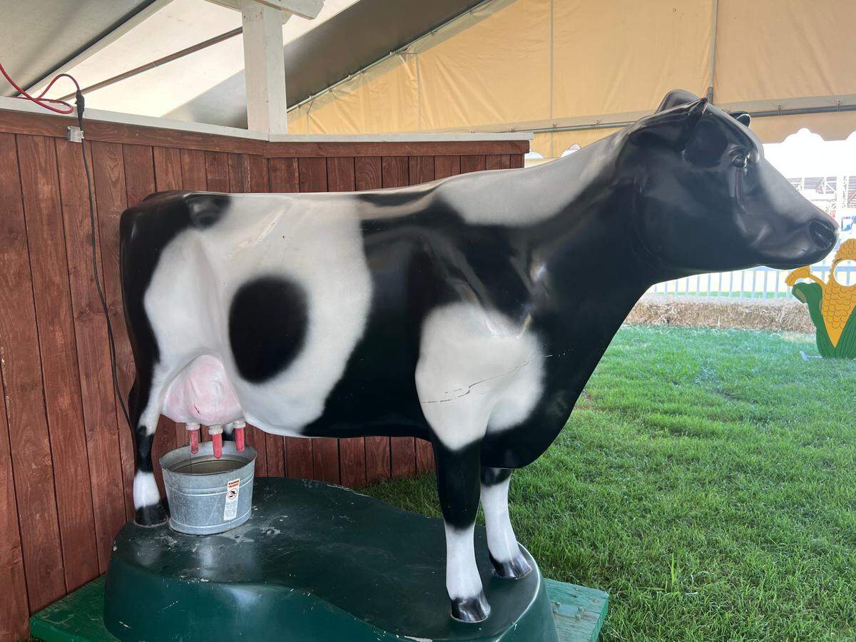A large statue of a white and black cow stands on a wooden pedestal. 