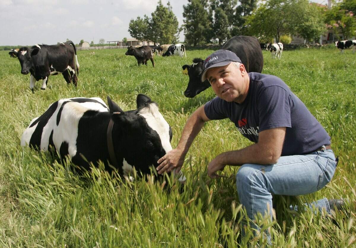 MTD MCC ORGANIC COWS 3
