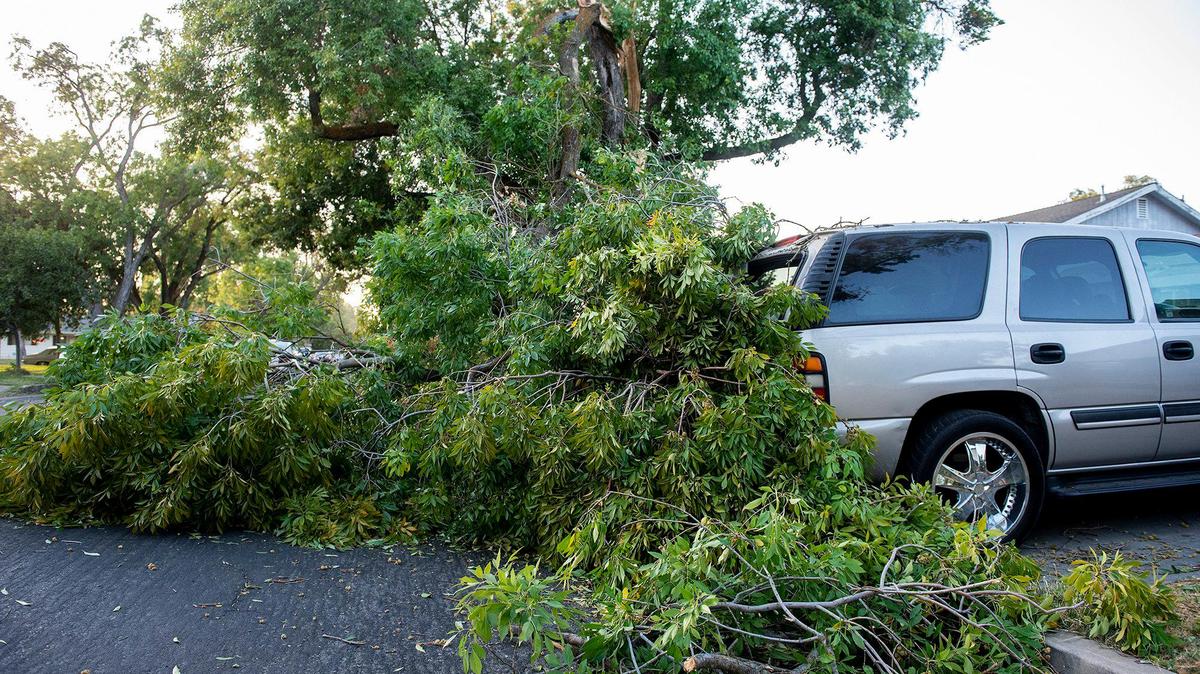 A large tree branch is seen partially in the roadway outside a home in the 800 block of 25th Street as high winds blow through Merced, Calif., on Monday, Oct. 11, 2021.