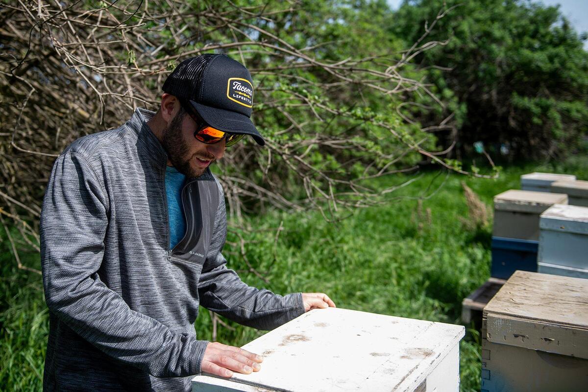 Beekeeper Martin Nordenstrom, 28, checks the lid of a beehive as honey bees enter and exit the hive near cherry trees at Riverdance Farms in Livingston, Calif., on Thursday, March 20, 2025. Honey bees play a vital role in crop production for farmers in California’s Central Valley.