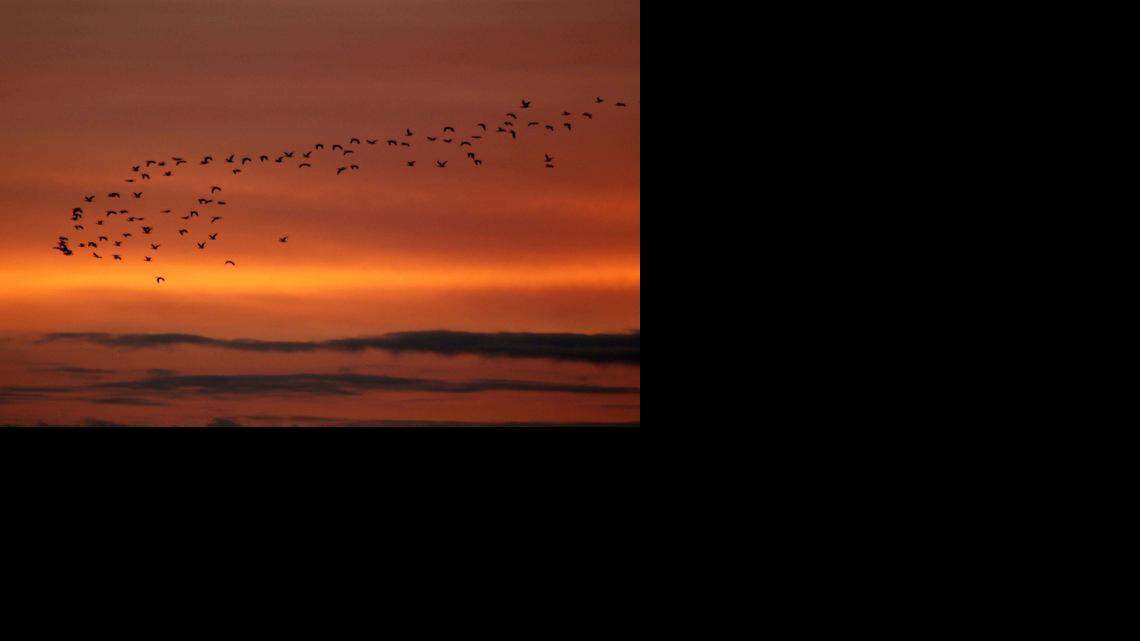 Blauert on Outdoors: Fun outdoor activities for people with disabilities