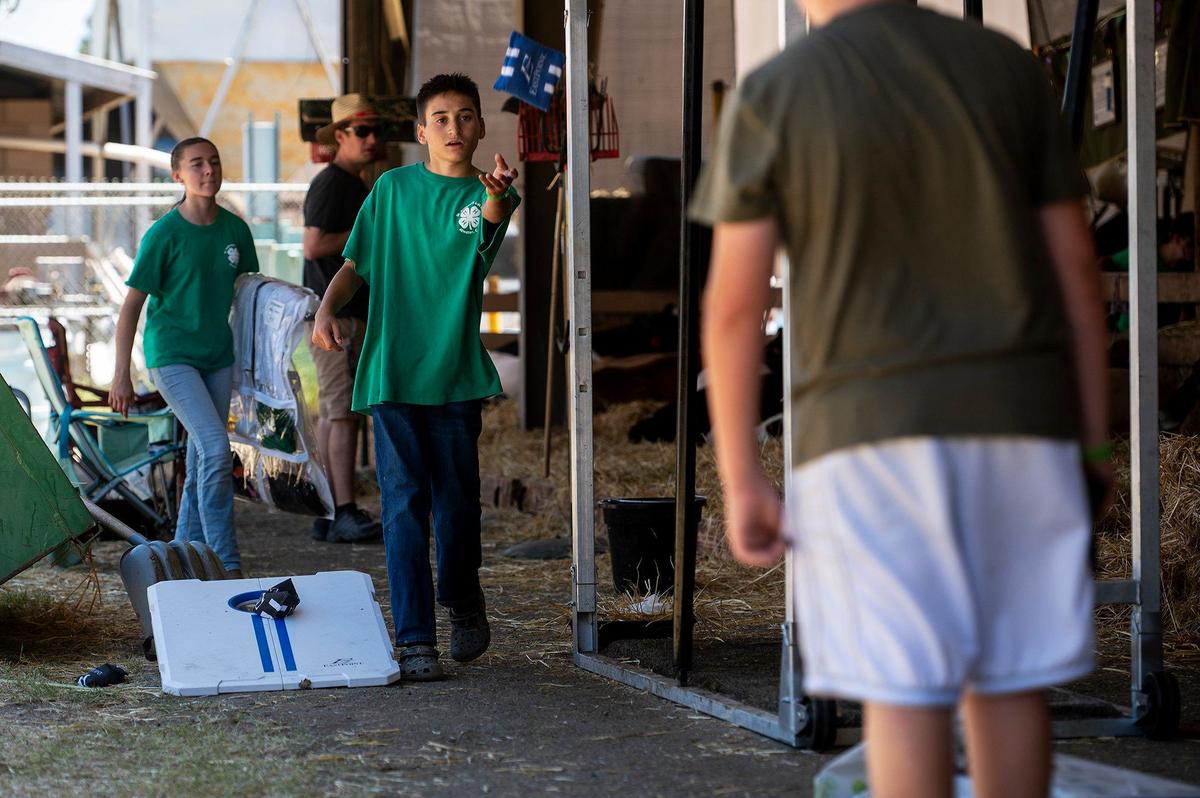 St. Anthony 4H member Liam Matos, 12, plays a game of corn hole at the Merced County Fair in Merced, Calif., on Thursday, June 6, 2024. Matos said he is showing two milk cows, one replacement heifer, two summer yearlings and one winter yearling at this year’s fair.
