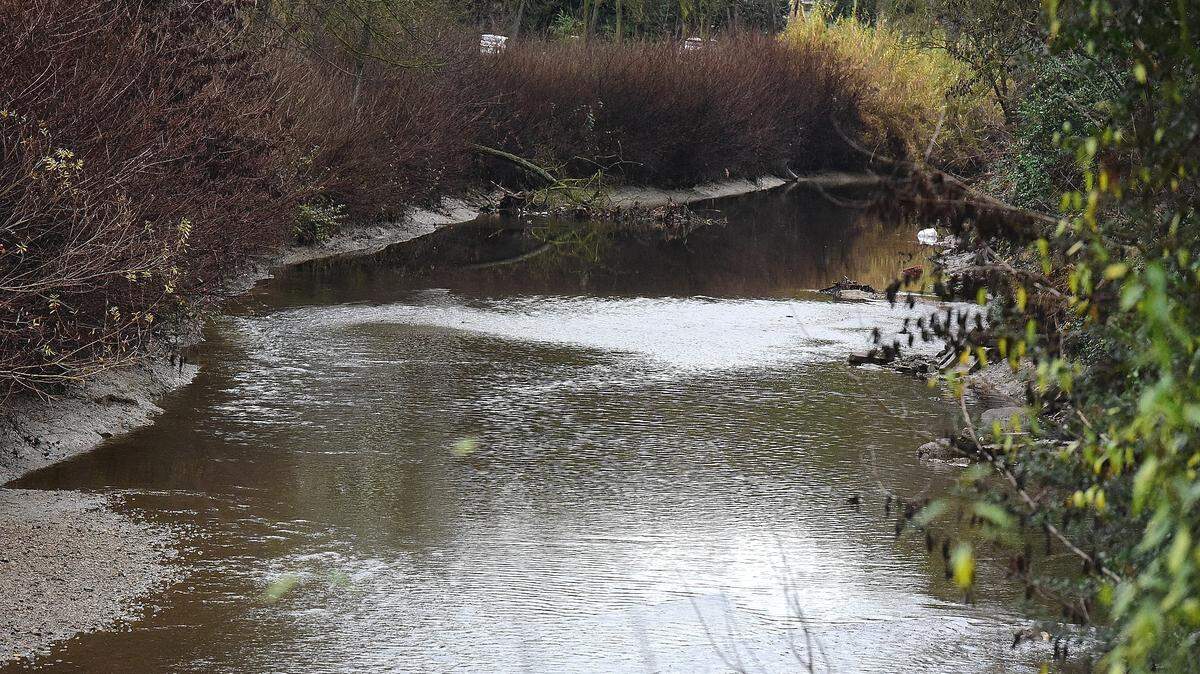 Rain falls into Bear Creek near R Street in Merced on Tuesday, Jan. 15, 2019. The National Weather Service said the creek could reaching flood levels by late Thursday.