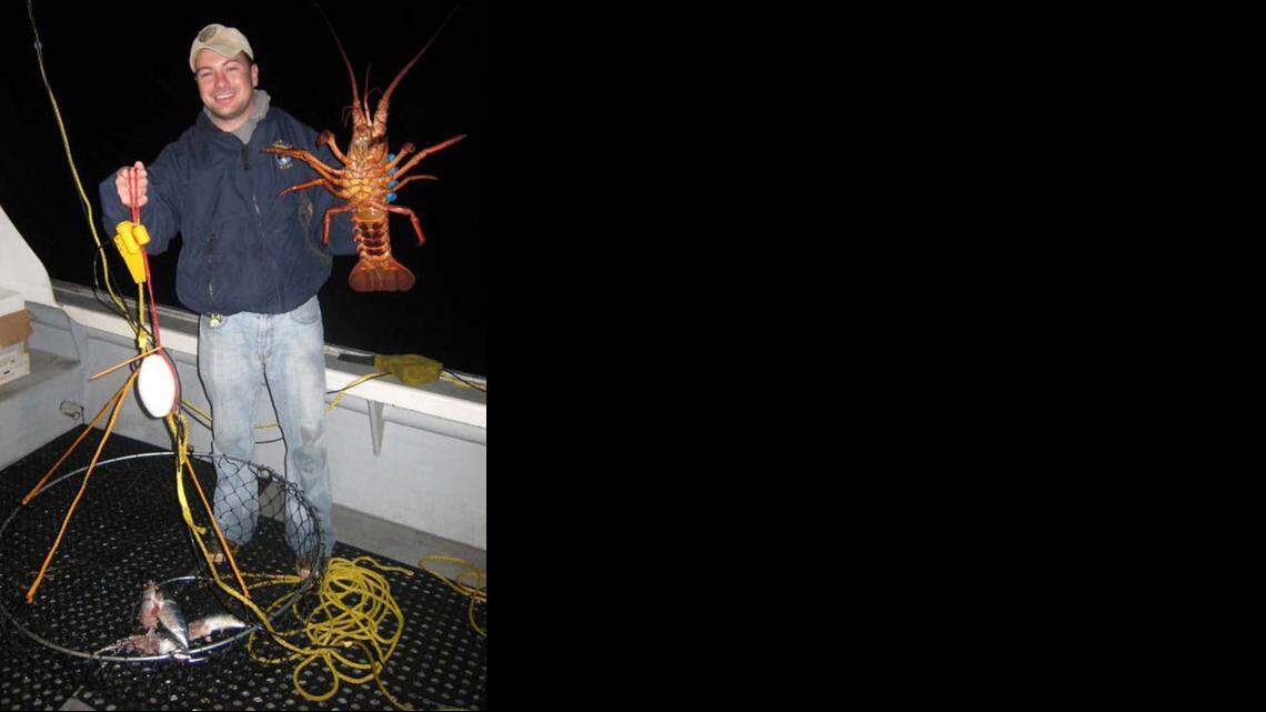  Marine environmental scientist Travis Buck holds a California spiny lobster caught in a traditional hoop net. Nets can’t be taken to a location while free or scuba diving. Divers can catch lobster by gloved hand only.

