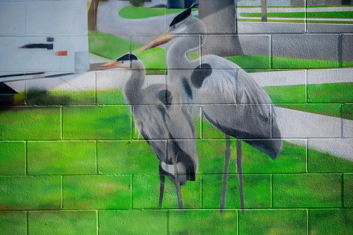 A portion of a mural painted on a wall of the McNamara Youth Center Building by artist Eddie Rodriguez at McNamara Park in Merced, Calif., on Friday, Jan. 10, 2025.
