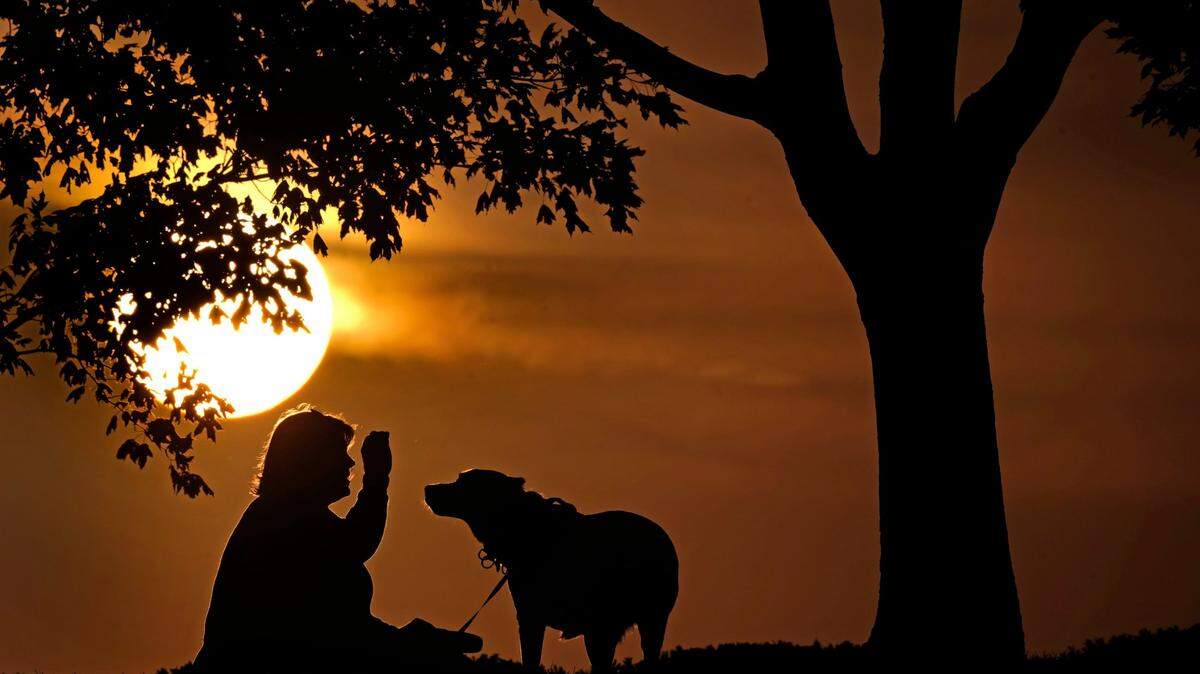 A woman plays with her dog at sunset, Saturday, Nov. 6, 2021, at a park in Kansas City, Mo.