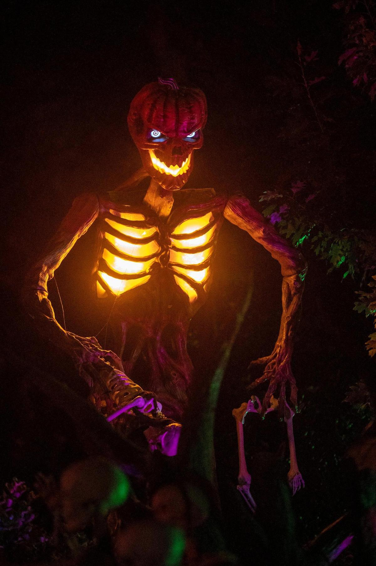Halloween decorations at the home of Ken and Harmony Anderson on Oregon Drive in Merced, Calif., on Friday, Oct. 21, 2022.