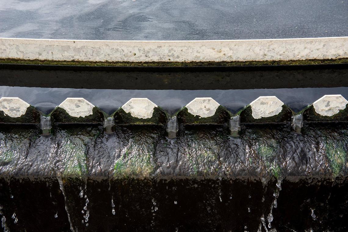 Wastewater inside a secondary aeration basin at the Wastewater Treatment Plant in Merced, Calif., on Thursday, Nov. 21, 2024.
