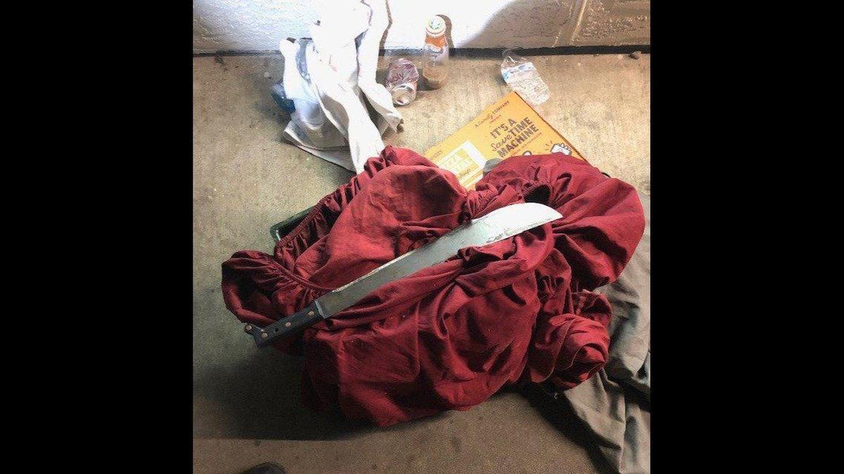 A 23-year-old man was arrested Sunday, after allegedly attacking a woman with a machete at a gas station in central Merced, according to the Merced Police Department. Image courtesy of Merced Police Department.