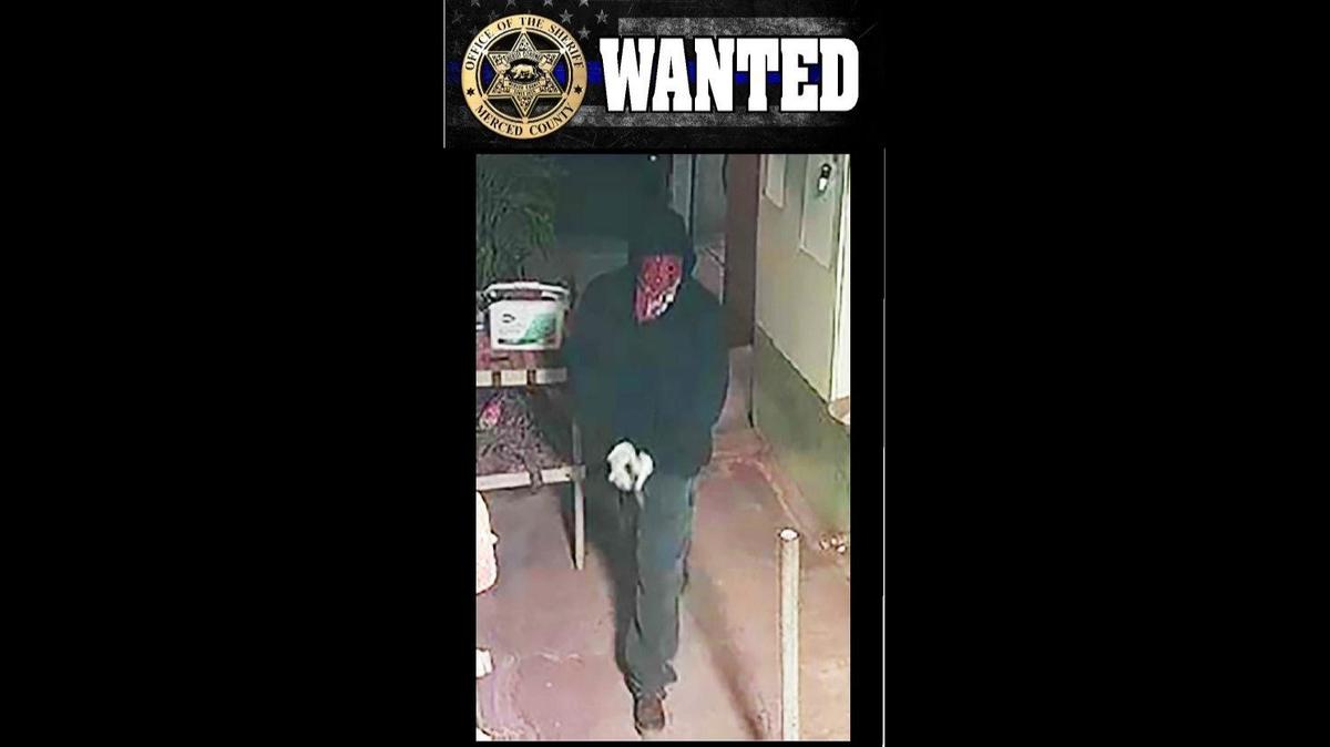 The Merced County Sheriff’s Office is asking for the community’s help identifying a suspect who allegedly assaulted and robbed two dairy farm workers at gunpoint in the 26000 block fo Fahey Road in Gustine on Wednesday. Image courtesy Merced County Sheriff’s Office.