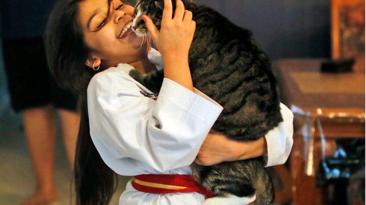 Arfa Yousuf, 8, holds her pet cat after completing her martial arts vitural belt test at her home in Richardson, Texas, Thursday, April 23, 2020.