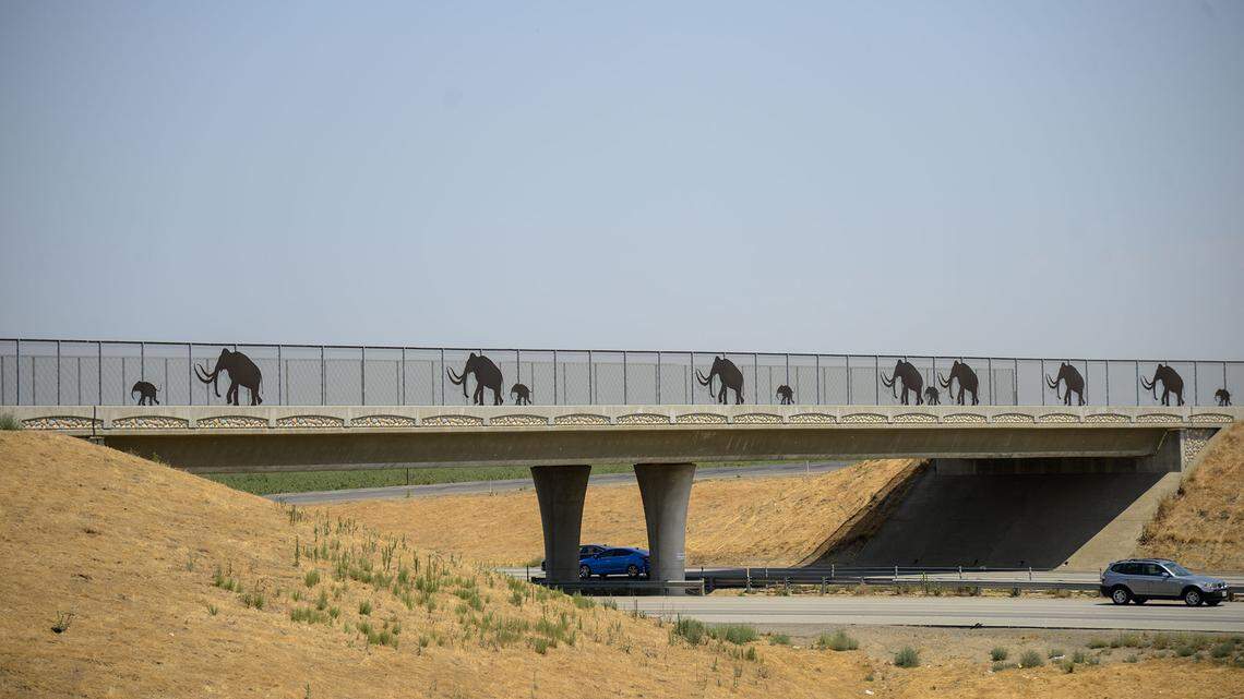 Mammoth silhouettes near Plainsburg overpass on Friday July 12.