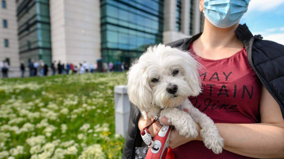 A woman holds a dog while waiting in line for COVID-19 vaccinations outside the National Library in Bucharest, Romania, Friday, May 7, 2021. 