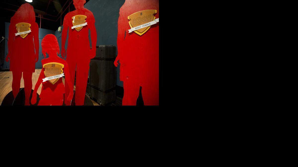 AK The Silent Witness Project 3