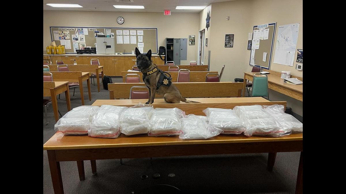 A driver and passenger were arrested on Nov. 5, when California Highway Patrol officers and CHP K-9 Rae located about 117 pounds of methamphetamine in a vehicle during a traffic stop along Highway 99 in Merced County, according to the CHP. Image courtesy of California Highway Patrol.