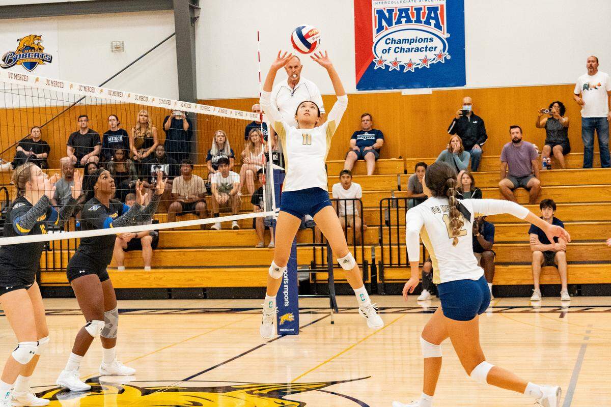 UC Merced setter Serena Choi led the Bobcats women’s volleyball team to a 3-0 sweep of Pacific Union this week.