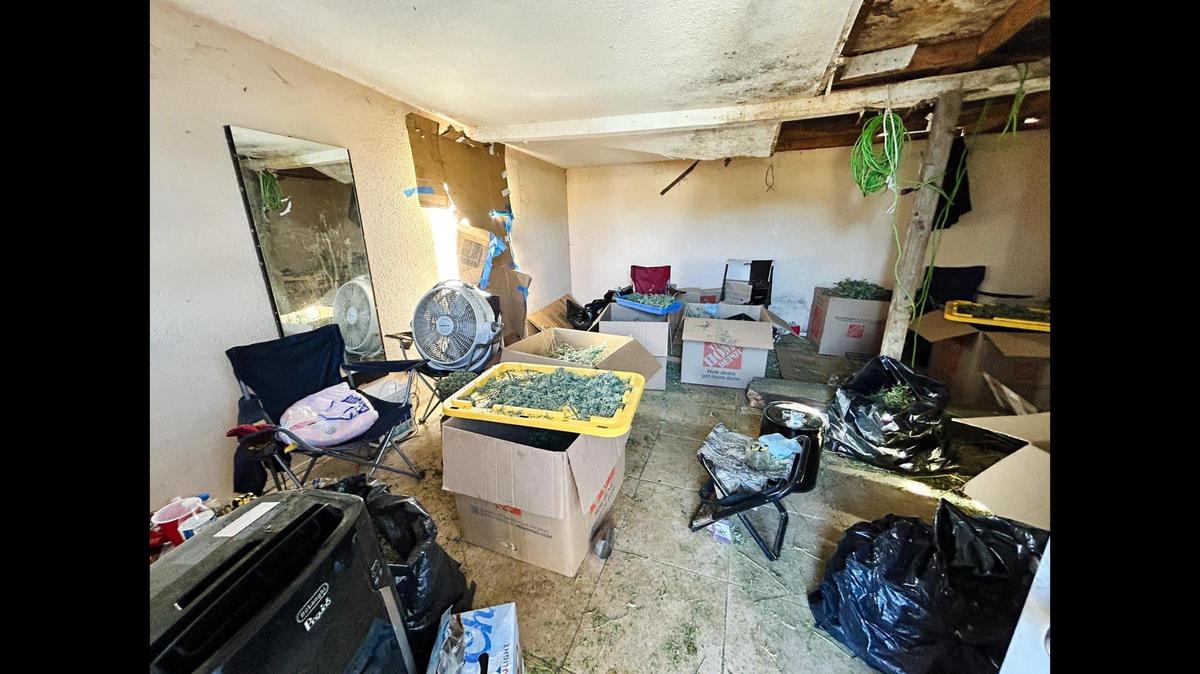 Dozens of human trafficking victims forced to process marijuana and live in horrible conditions, were located when deputies served a search warrant in the 900 block of Vassar Avenue on Wednesday, according the the Merced County Sheriff’s Office. Image courtesy of Merced County Sheriff Office.