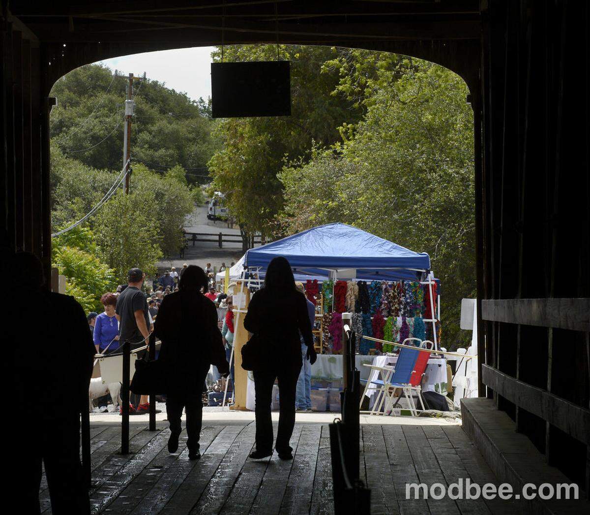 DN Peddlers fair