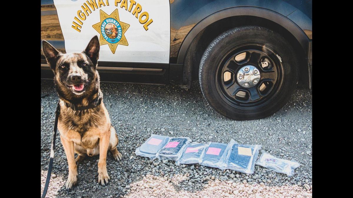 A Yuba City man was arrested during a traffic stop along Interstate 5 just north of Highway 152 in Merced County on Sept. 15, after a California Highway Patrol officer and K-9 “Bruce” located about 11.5 pounds of heroin inside a suitcase, according to the CHP. Image courtesy of California Highway Patrol.